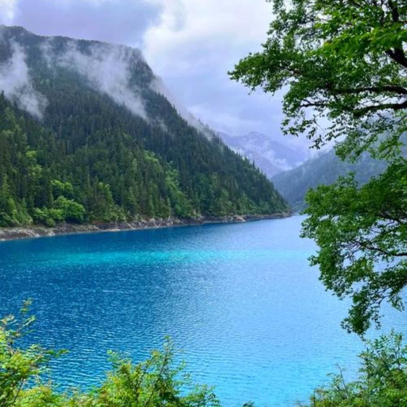 九寨沟+黄龙2天1晚 动车往返 8人内团 多标准住宿 赠藏家欢乐颂 - 定制游预订