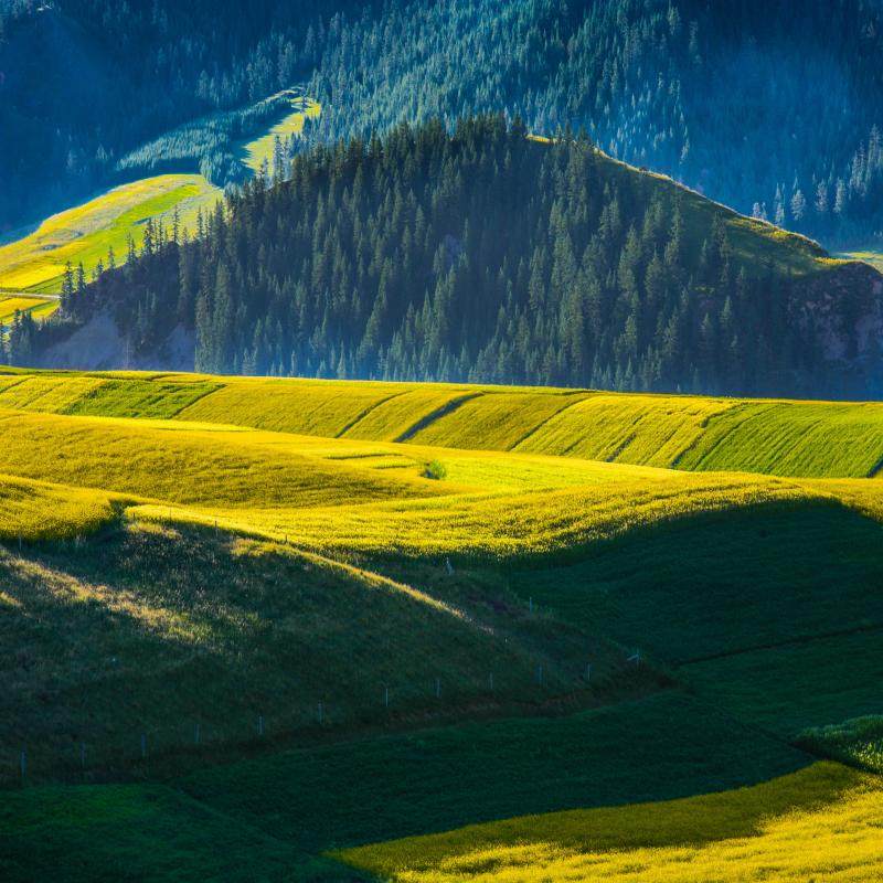 青甘小环线【2-8人精品团】 青海湖+茶卡盐湖+卓尔山+张掖4日游