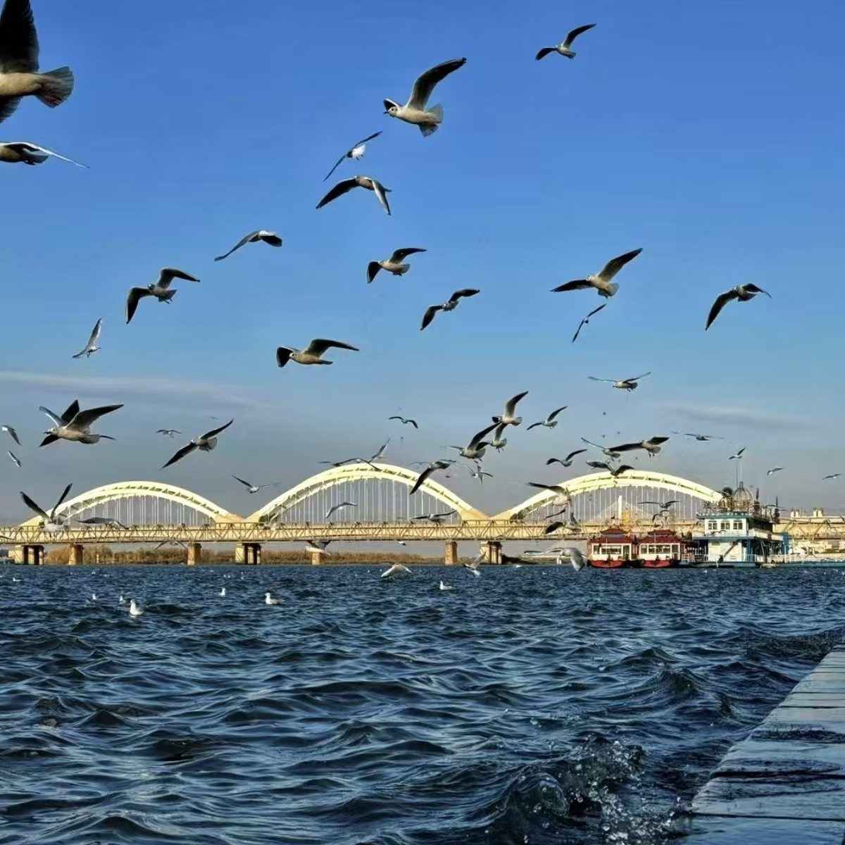 【畅玩】哈尔滨万达假日酒店行政套房4天3晚+波塞冬旅游度假区+伏尔加庄园+东北虎林园