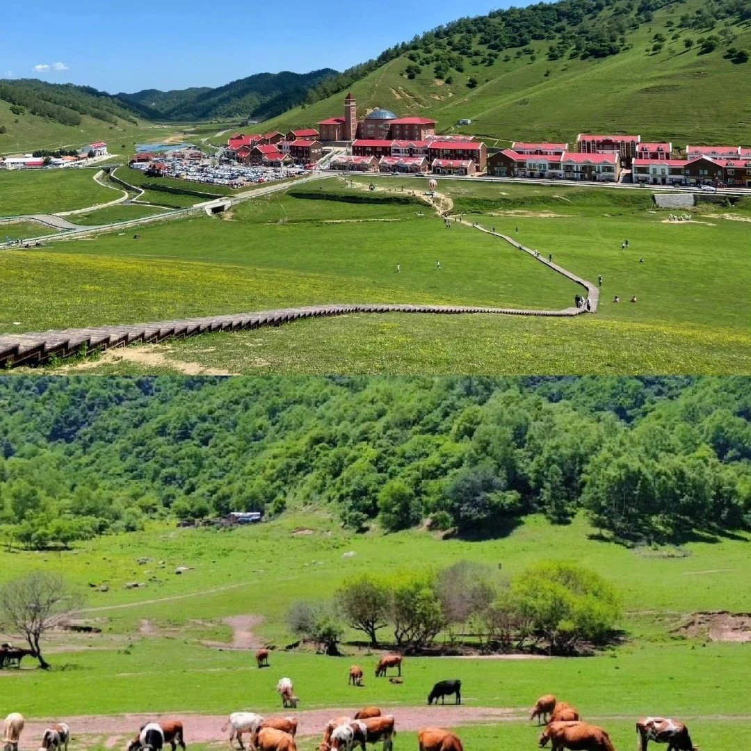 陇县关山假日酒店住宿+关山草原成人门票