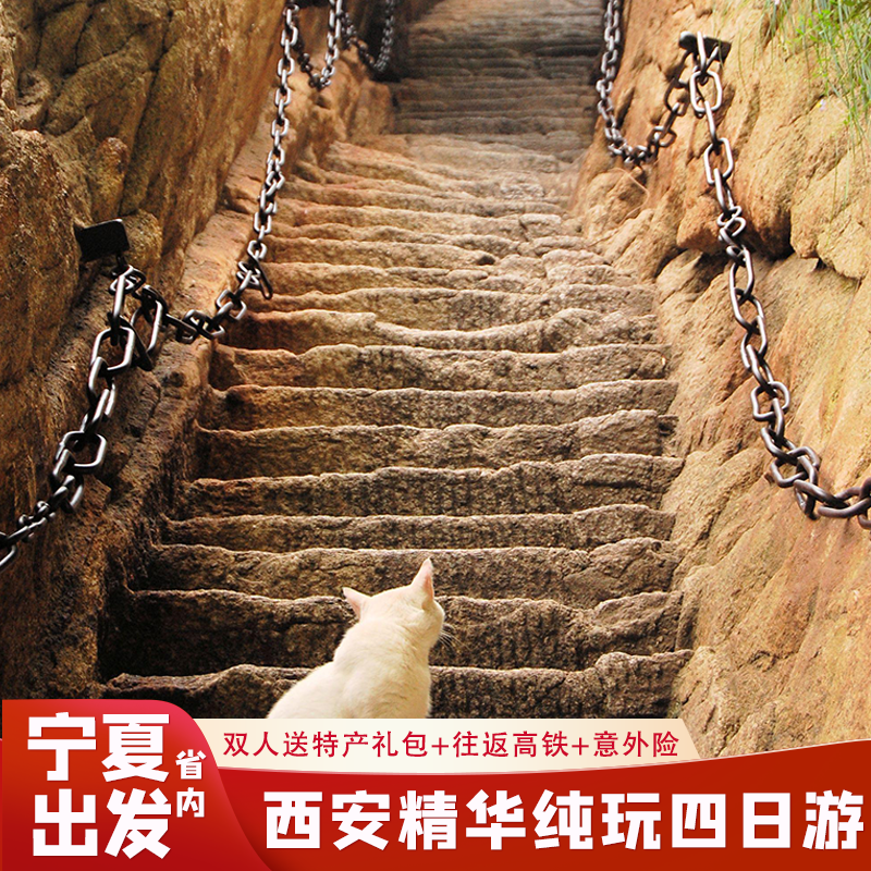 【限时送演出】宁夏到西安旅游兵马俑华清宫华山大唐不夜城四日游 - 定制游预订