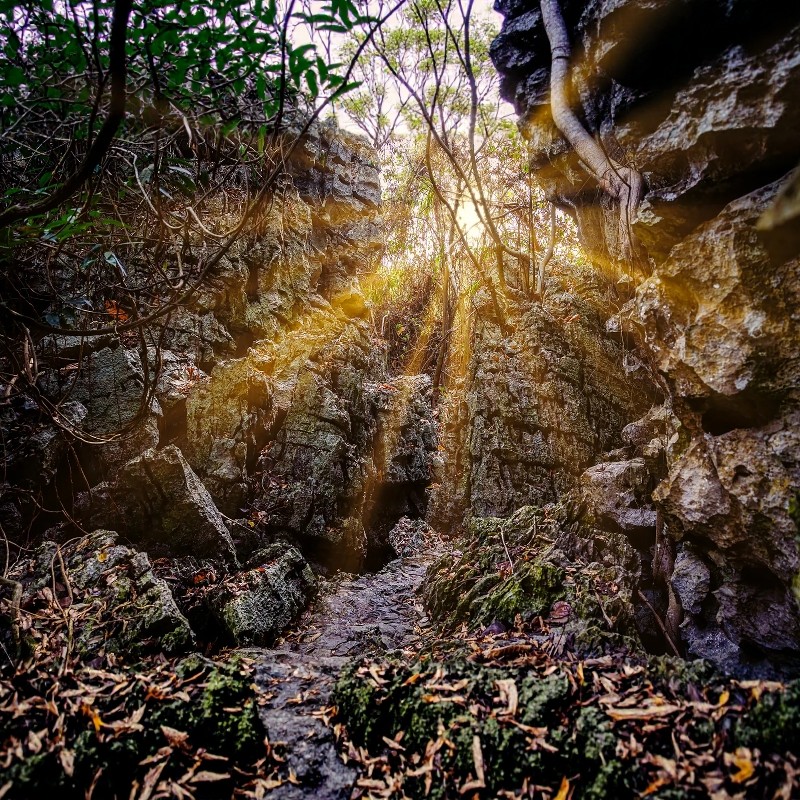 【寒假早鸟】崇左大新明仕那里酒店+石景林景区3天2晚自由行