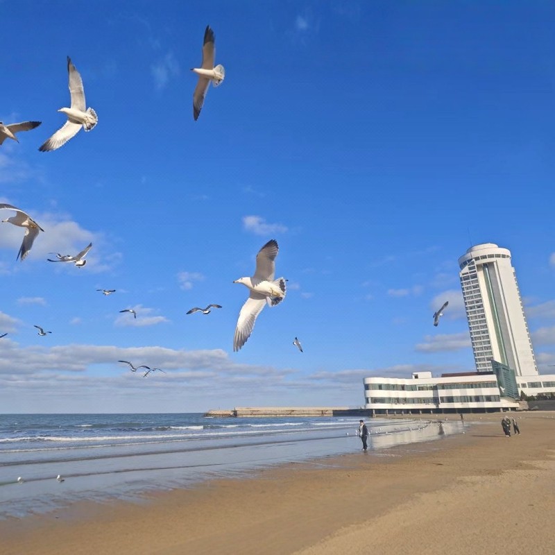 烟台百纳瑞汀酒店3天2晚▕含双早|出门50米最美海滩+烟台海昌鲸鲨海洋公园买1送1 - 定制游预订