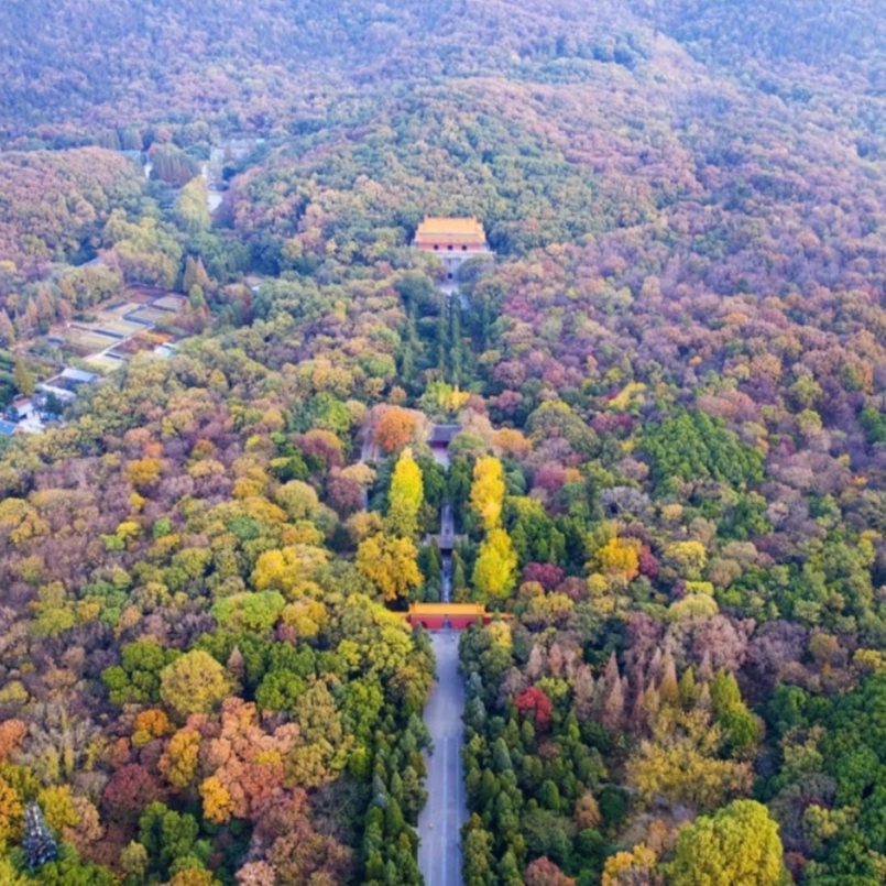 x【4天3晚】南京自由行住全季酒店(南京南站店)+明孝陵门票套票