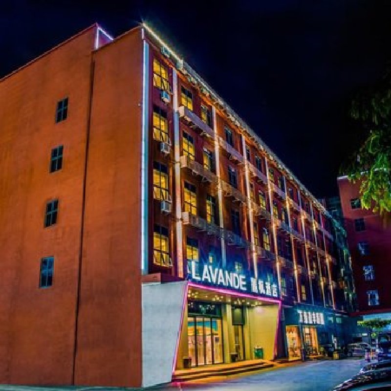 D1天1晚深圳市麗枫酒店深圳机场新航站楼店自由行+中英街门票单人酒景套餐 - 定制游预订