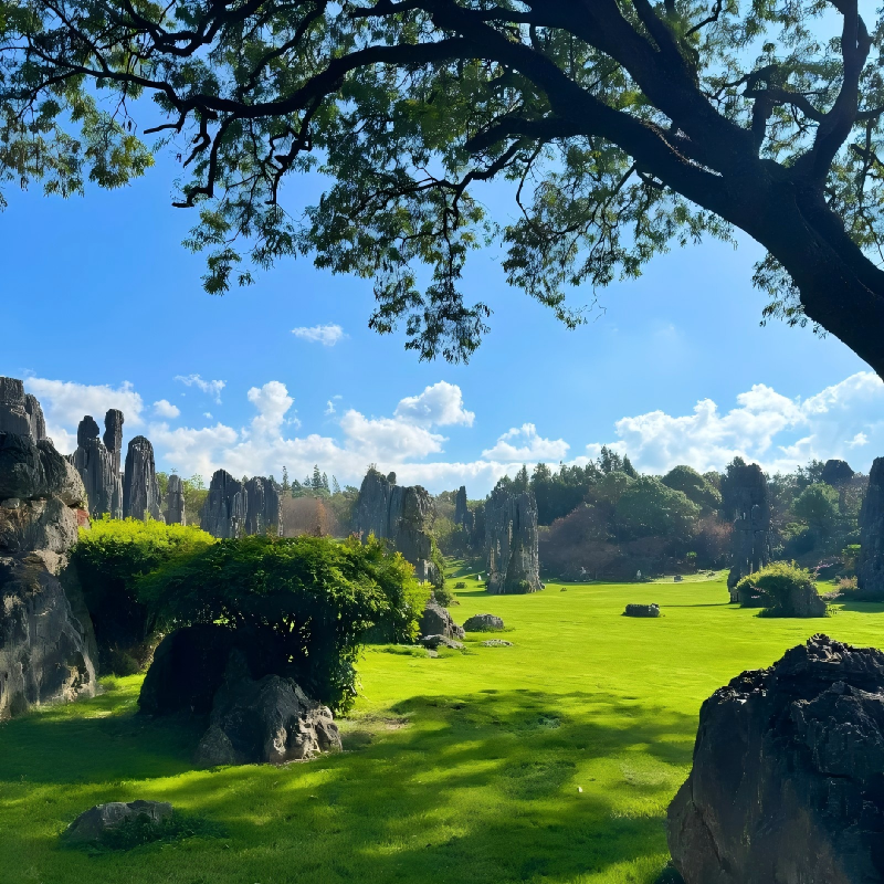 昆明洲际酒店豪华住宿+昆明石林风景区成人票