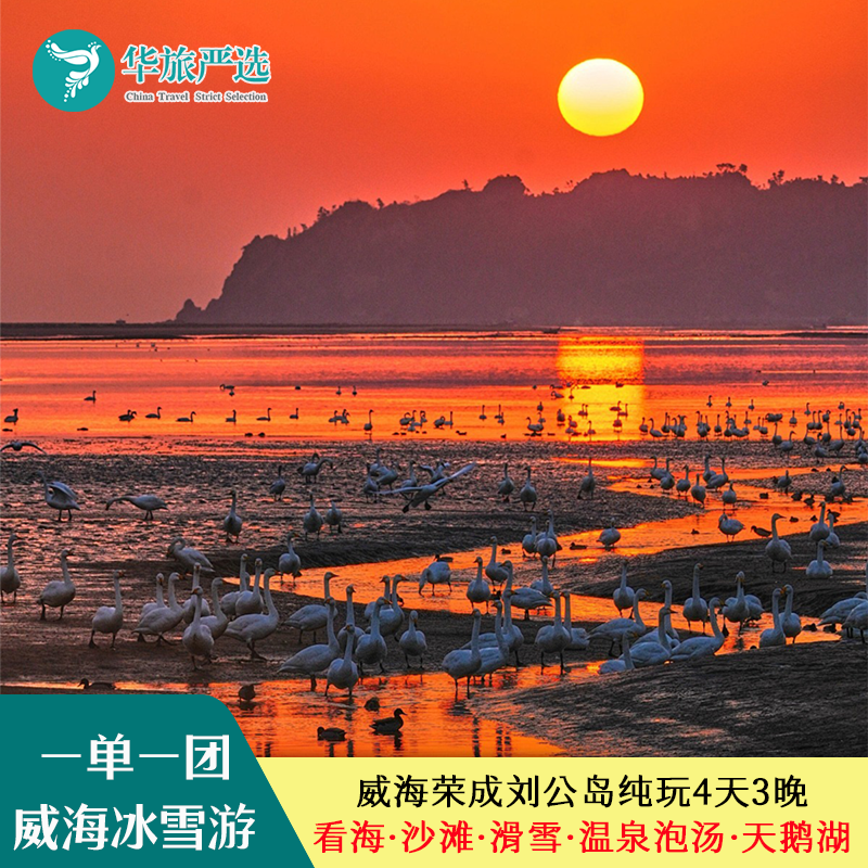 冬日限定威海荣成4天3晚 看海/滑雪/泡汤温泉/天鹅湖/海景酒店 - 定制游预订