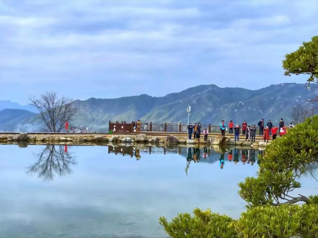 大埠岗樱花小镇图片