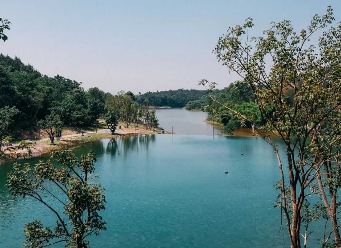 永安湖城市森林公园图片