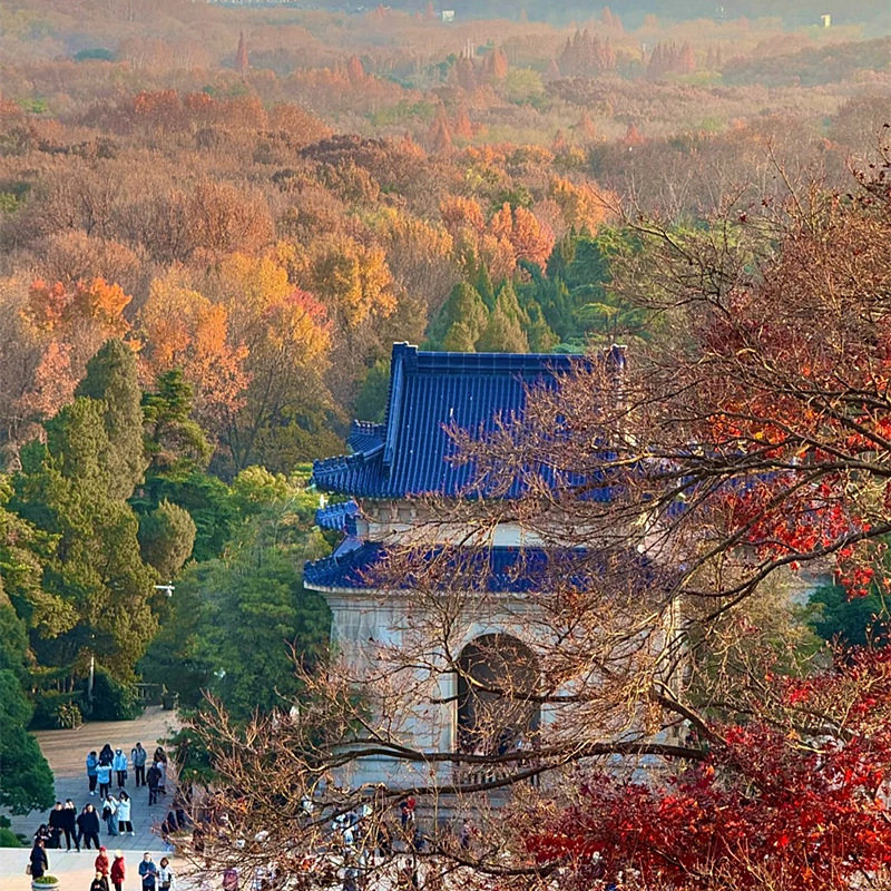南京中山陵90分钟文史大咖人工讲解半日游/含耳麦门票/多场次可选