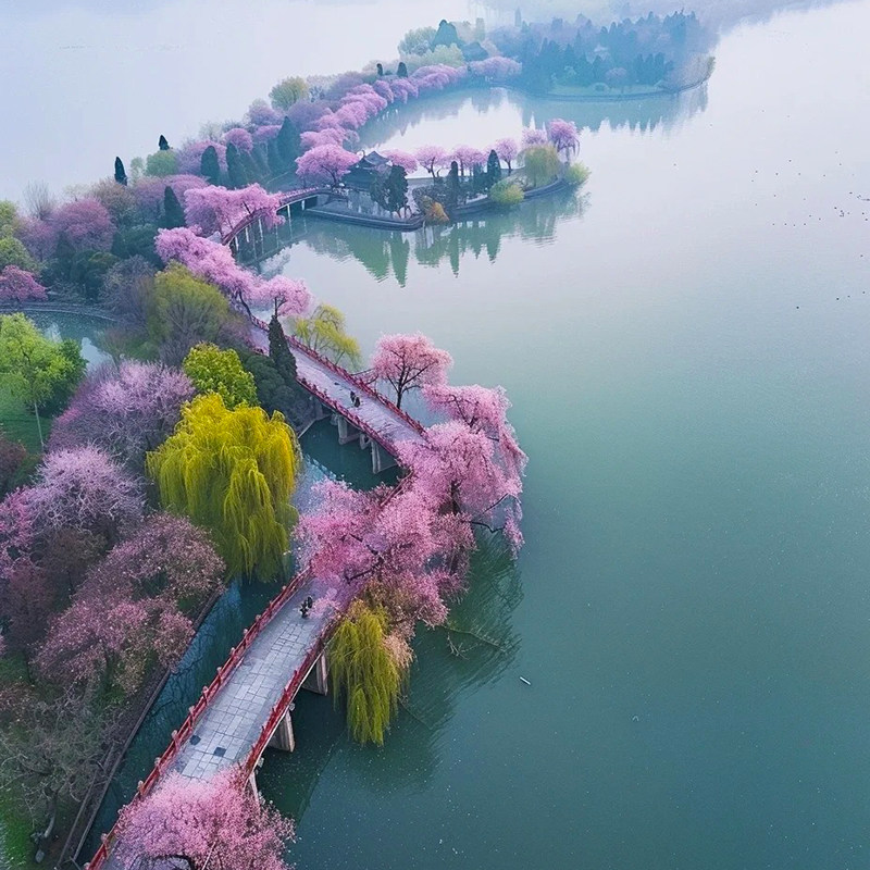 25人小团扬州瘦西湖个园+南京牛首山总统府3日跟团游双城园林古街 - 定制游预订