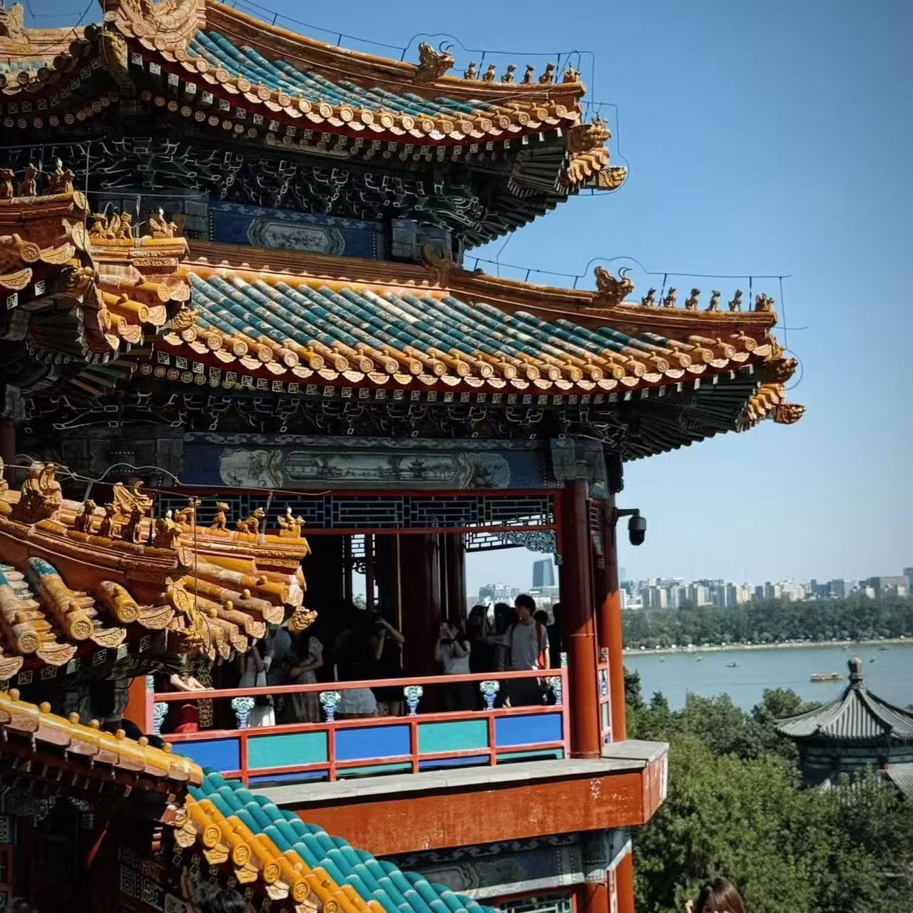 北京明珠酒店(北京大兴机场店)北京野生动物园成人门票