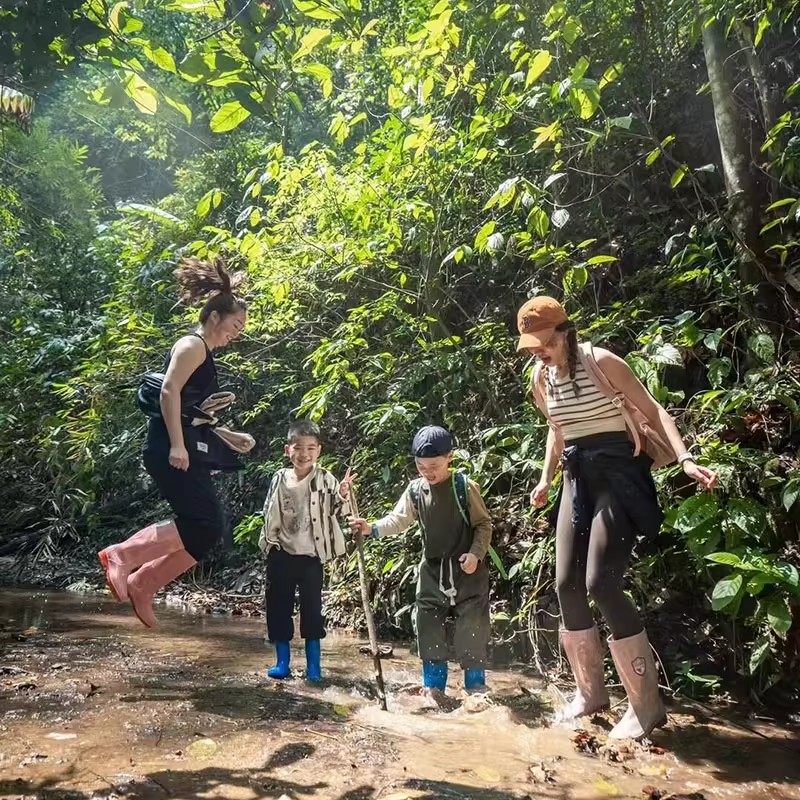 云南西双版纳2天1晚 西双版纳陌莲大酒店+基诺山雨林徒步