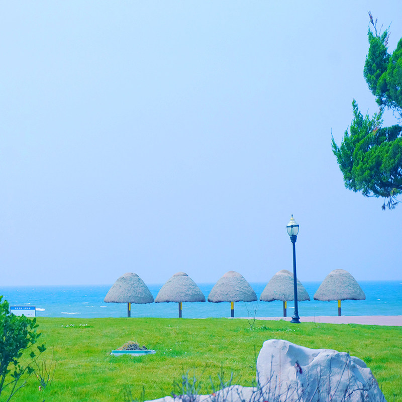 【高铁往返】青岛4天3晚私家团 多选行程·0购物0自费 免儿童