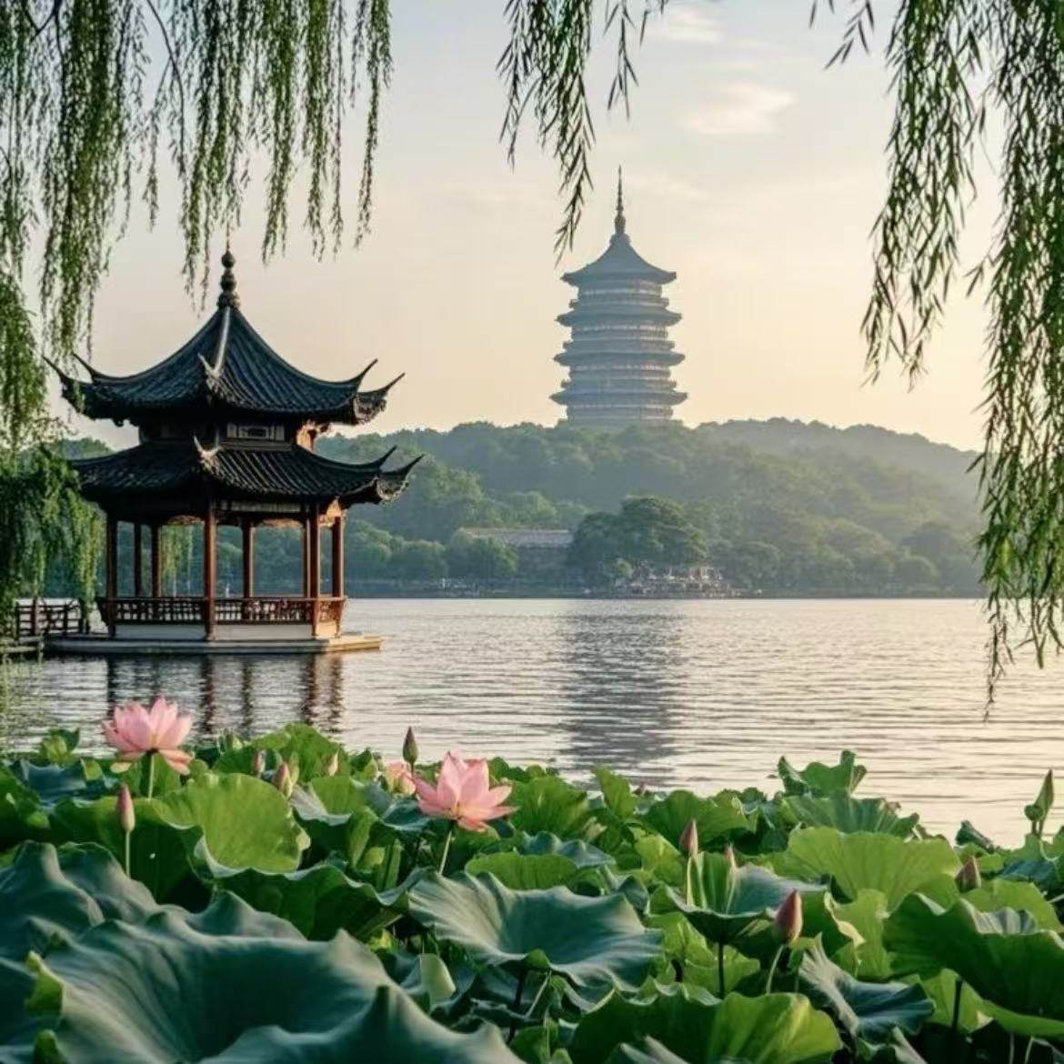 【私家团】杭州+乌镇+苏州+上海7天6晚·不拼团·专车出行 - 定制游预订