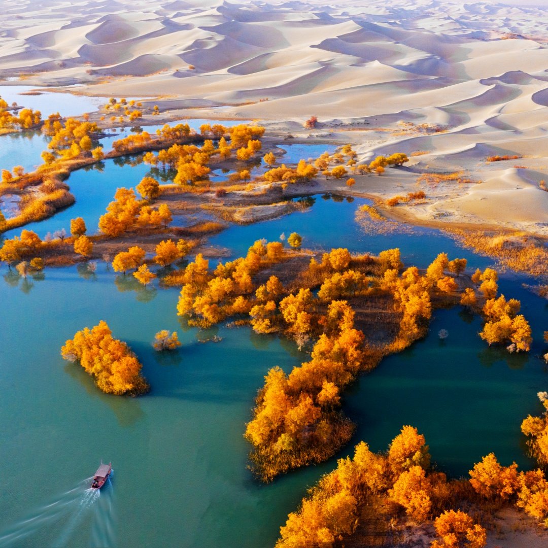 私家团南疆金秋8天【三大世界级原始胡杨林+139胡杨秘境公路】 - 定制游预订