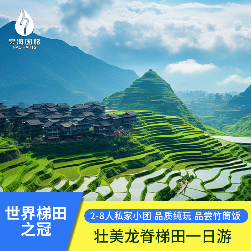 【一家一团】桂林旅游龙脊梯田金坑大寨黄洛瑶寨纯玩包车游一日游 - 定制游预订