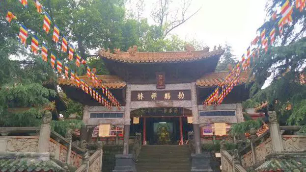 观音道场图片