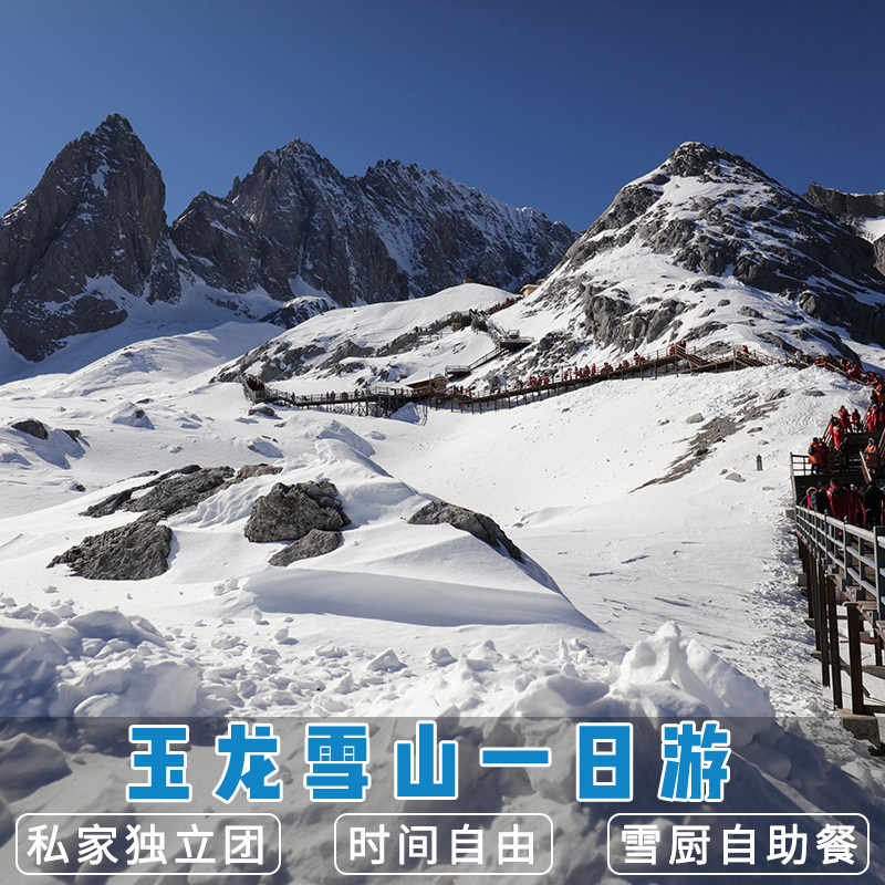 丽江玉龙雪山纯玩一日游私家小团 大索道门票牦牛坪云杉坪蓝月谷 - 定制游预订