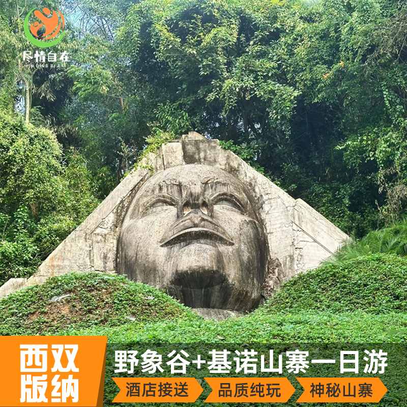 云南西双版纳野象谷+基诺山寨纯玩一日游包车家庭亲子游 - 定制游预订