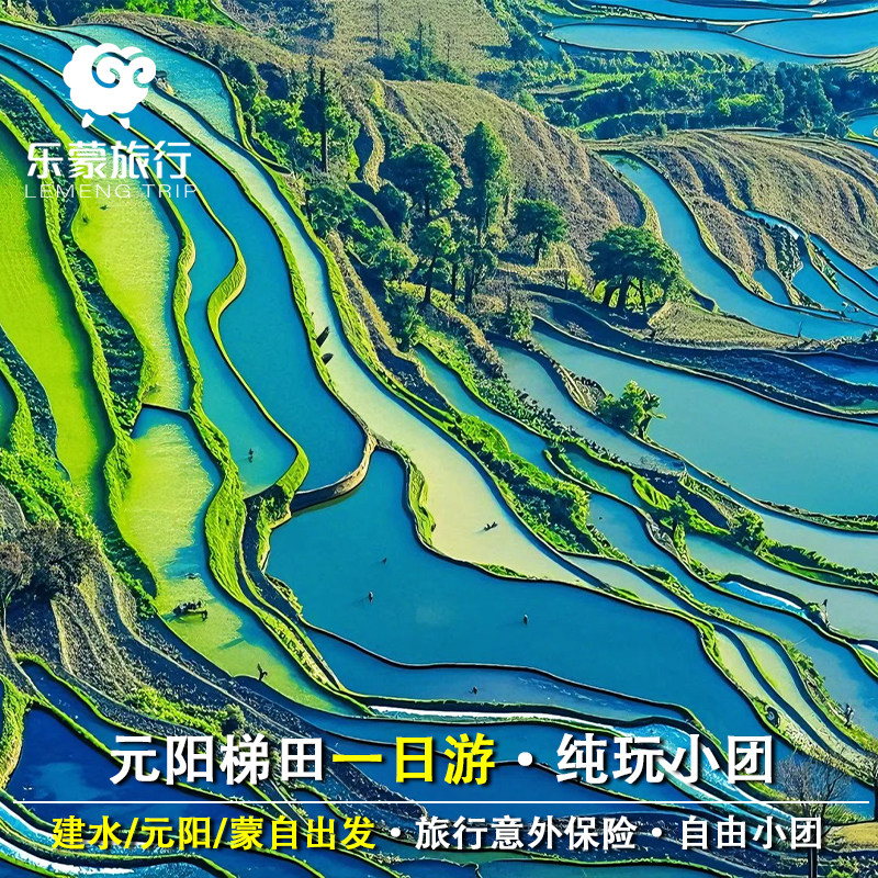 云南元阳/蒙自/建水出发 元阳梯田一日游品质小团纯玩2-6人小团 - 定制游预订