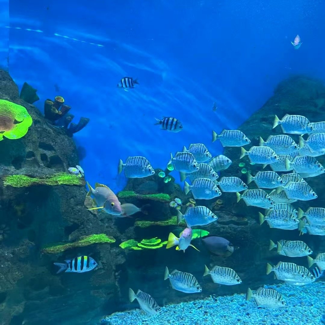 海南多地海景品牌酒店住宿+兴隆热带植物园成人票