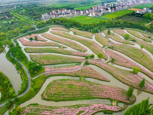 花开海上生态园图片