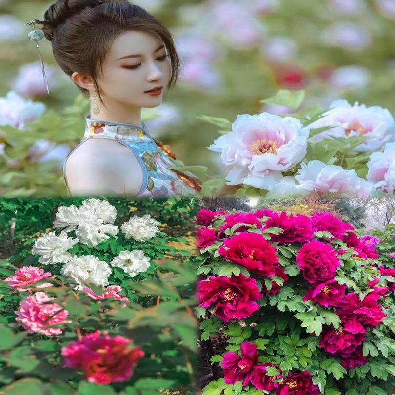 少林寺+龙门石窟纯玩1日游 洛阳往返 - 定制游预订