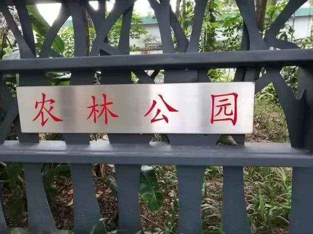 福田区莲花街道消防主题公园图片