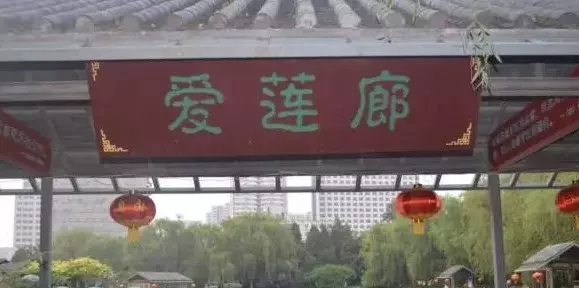 爱莲廊图片