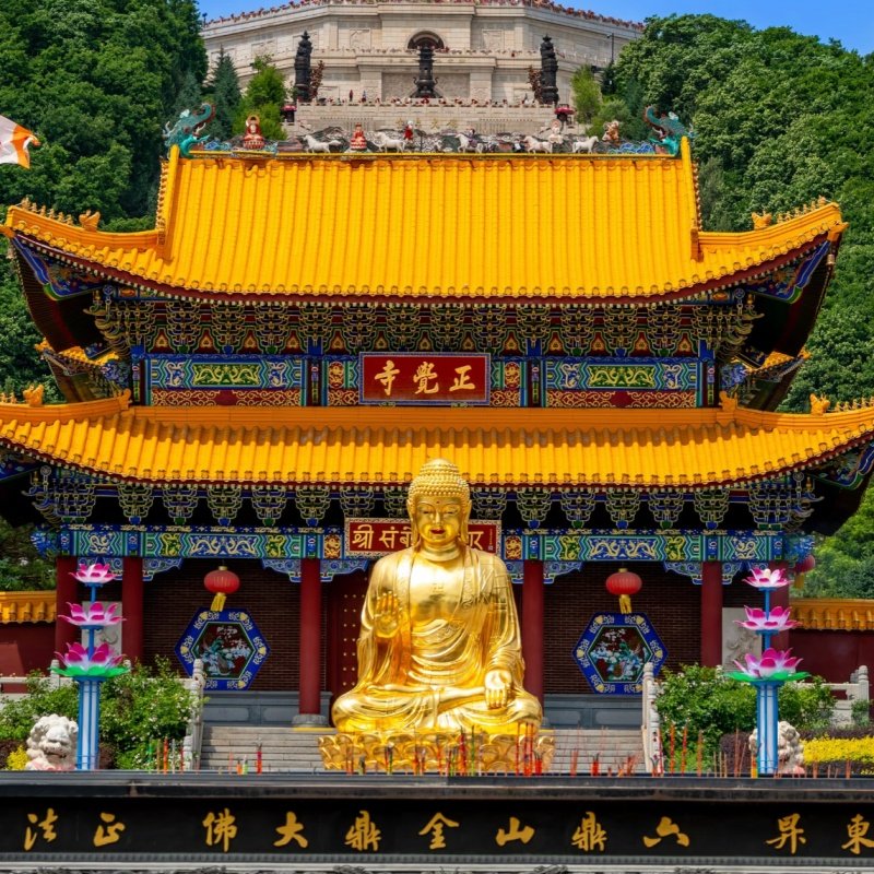 【2人】吉林长春东北虎园+伪满皇宫博物馆+通化高句丽文物旅游区+轻奢酒店自由行