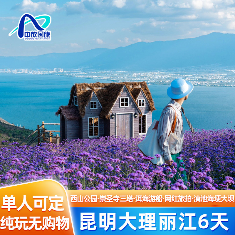 云南旅游昆明大理丽江纯玩6天洱海私人游船理想邦旅拍洱海观景 - 定制游预订