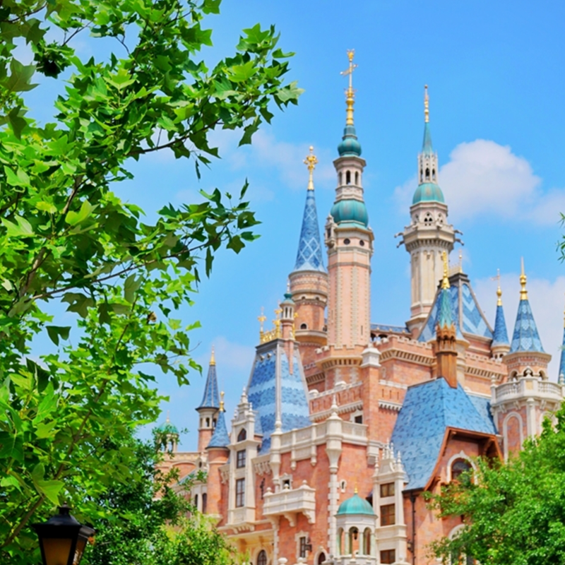 米奇下江南 上海+苏州+乌镇+杭州6日5晚跟团游 - 定制游预订