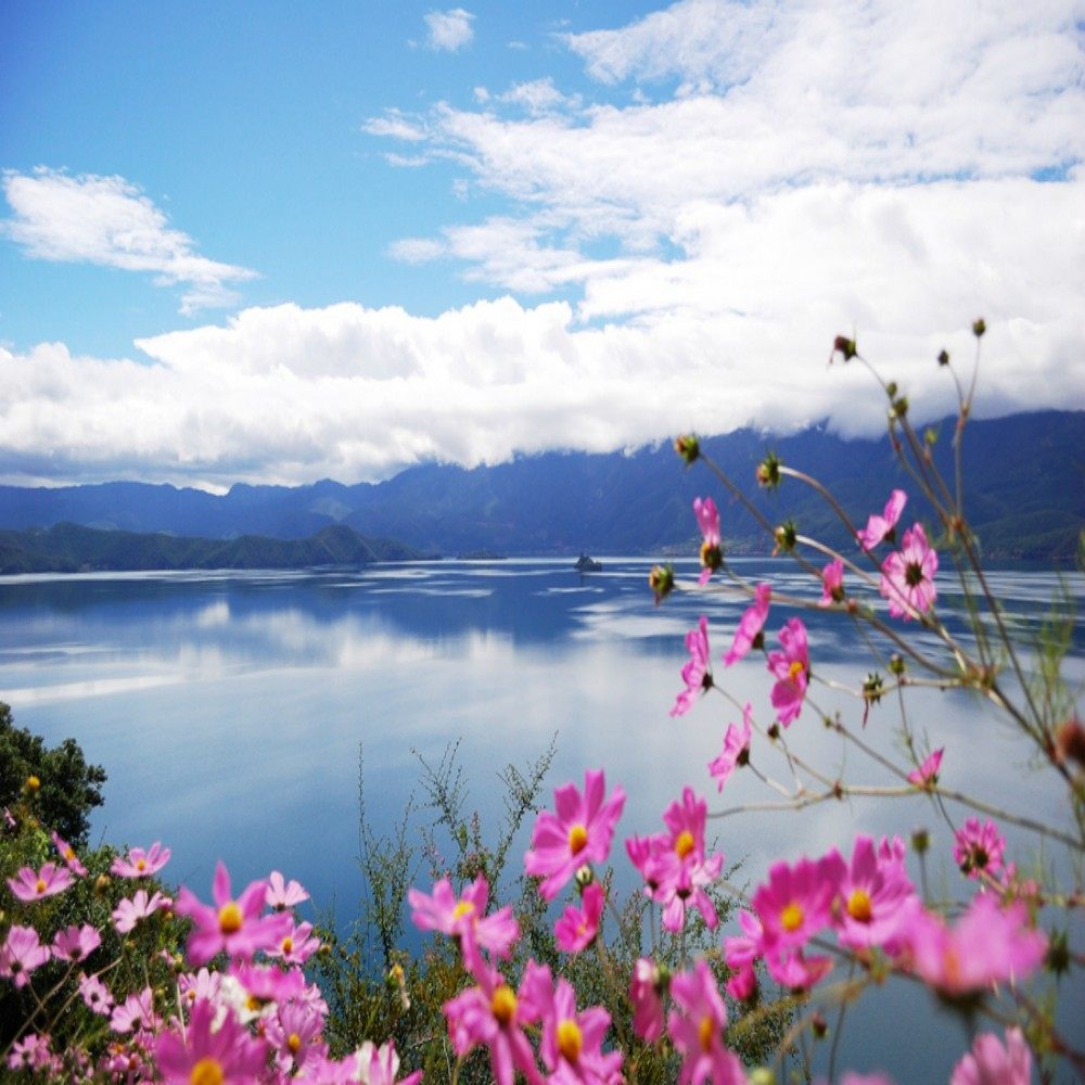 【独立专车·含机票】昆明丽江泸沽湖大理7日,不拼人·深度游 - 定制游预订