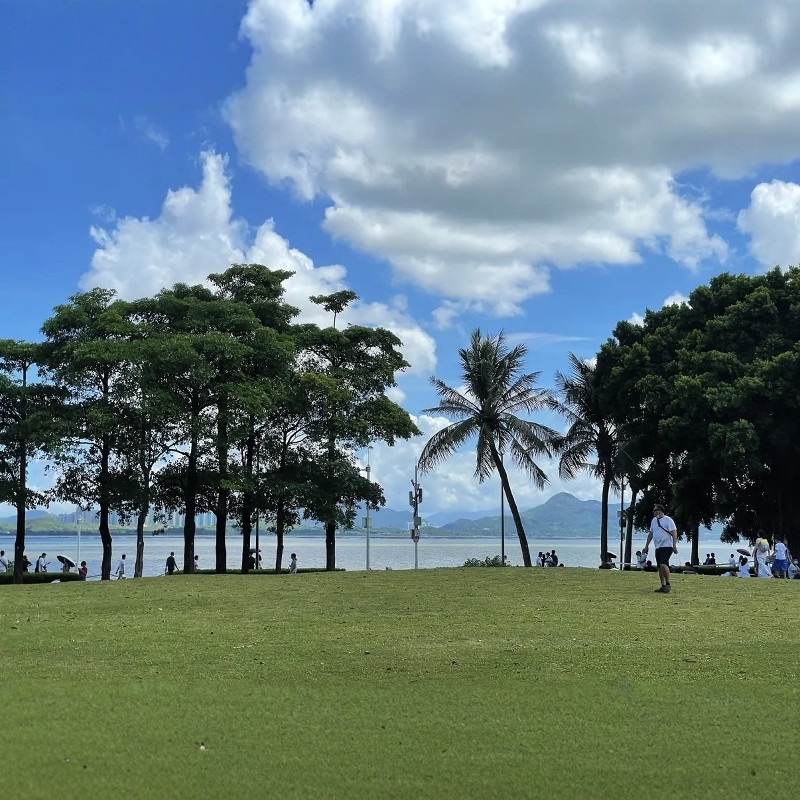 【乐享】深圳高端品牌连锁酒店3天2晚自由行+世界之窗+深圳湾公园 - 定制游预订