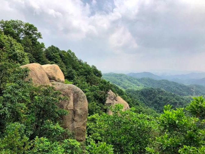 凤凰山森林公园图片