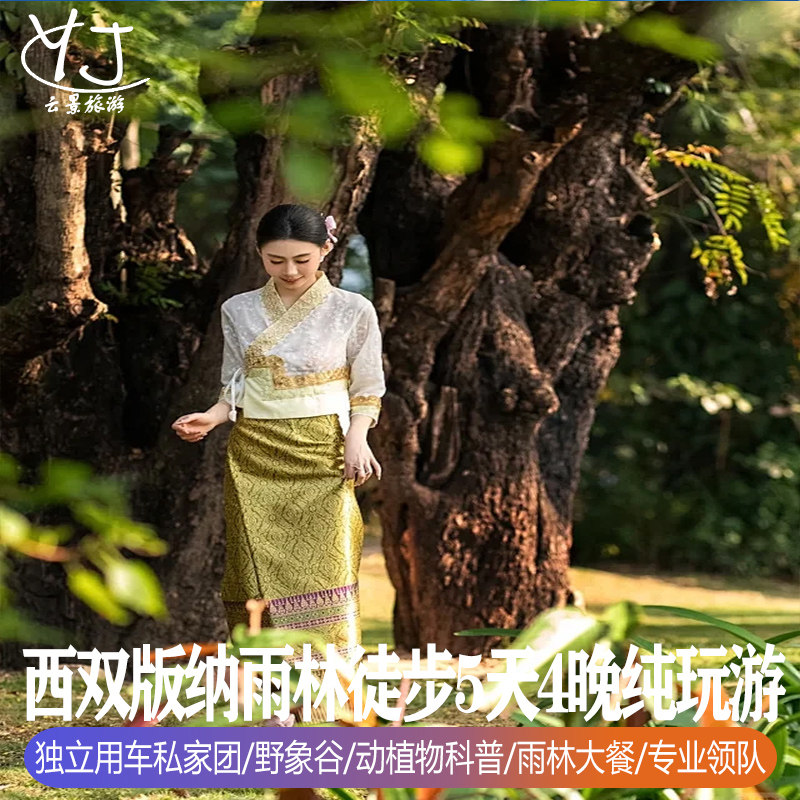 独立用车|雨林徒步|云南西双版纳旅游野象谷原始森林公园5天纯玩 - 定制游预订