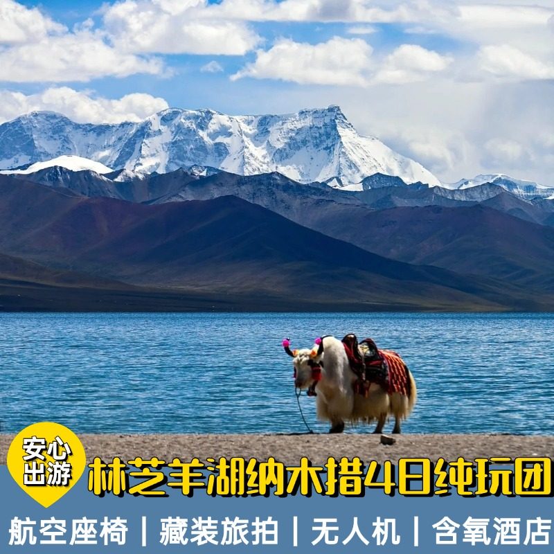 西藏旅游团拉萨林芝羊湖纳木措4天8人纯玩含氧小团雅鲁藏布大峡谷 - 定制游预订