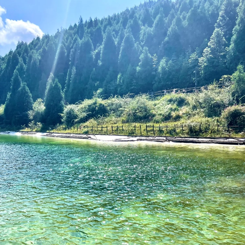 【2大1小】武陵山森林公园酒店2天1晚+武陵山森林公园门票3张+3份早餐