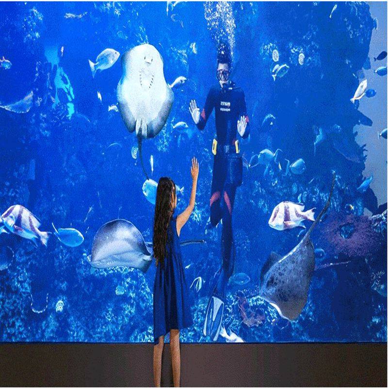 珠海长隆横琴湾酒店 长隆企鹅酒店 2日海洋王国 长隆秀马戏 卡卡虎奇遇记