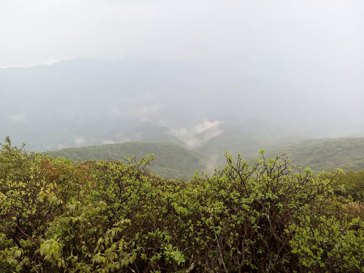 雷公山国家森林公园图片