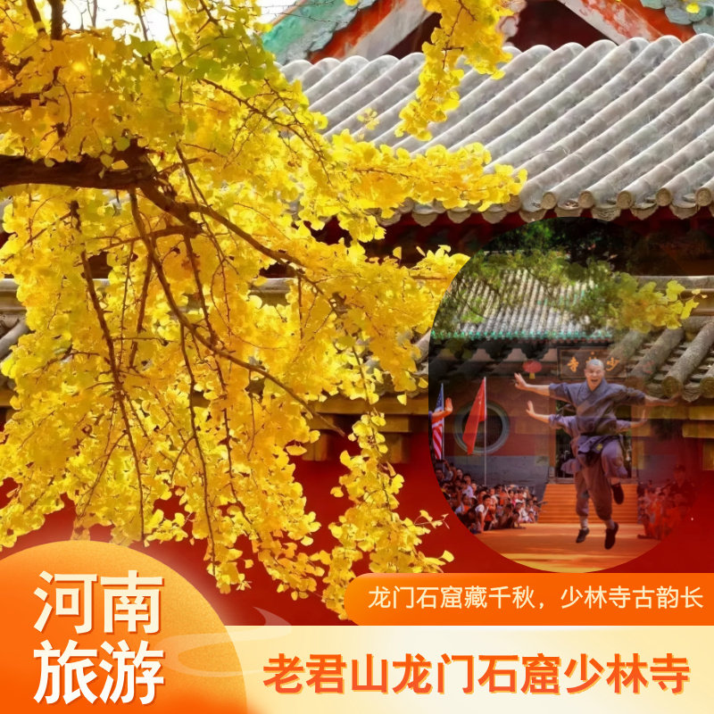 河南旅游少林寺老君山含老君山门票龙门石窟含龙门石窟门票四日 - 定制游预订