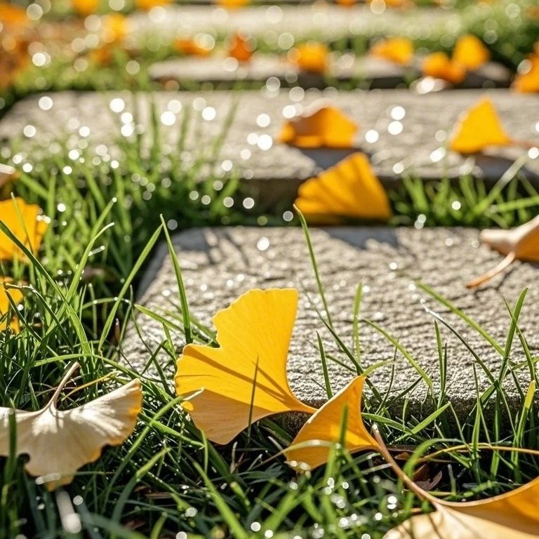 维也纳国际酒店(益阳桃江东方新城店)住宿+桃花江竹海景区成人门票