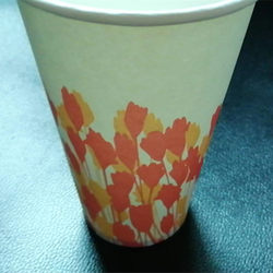 Kangjiafu 2000 environmentally friendly thickened disposable paper cups