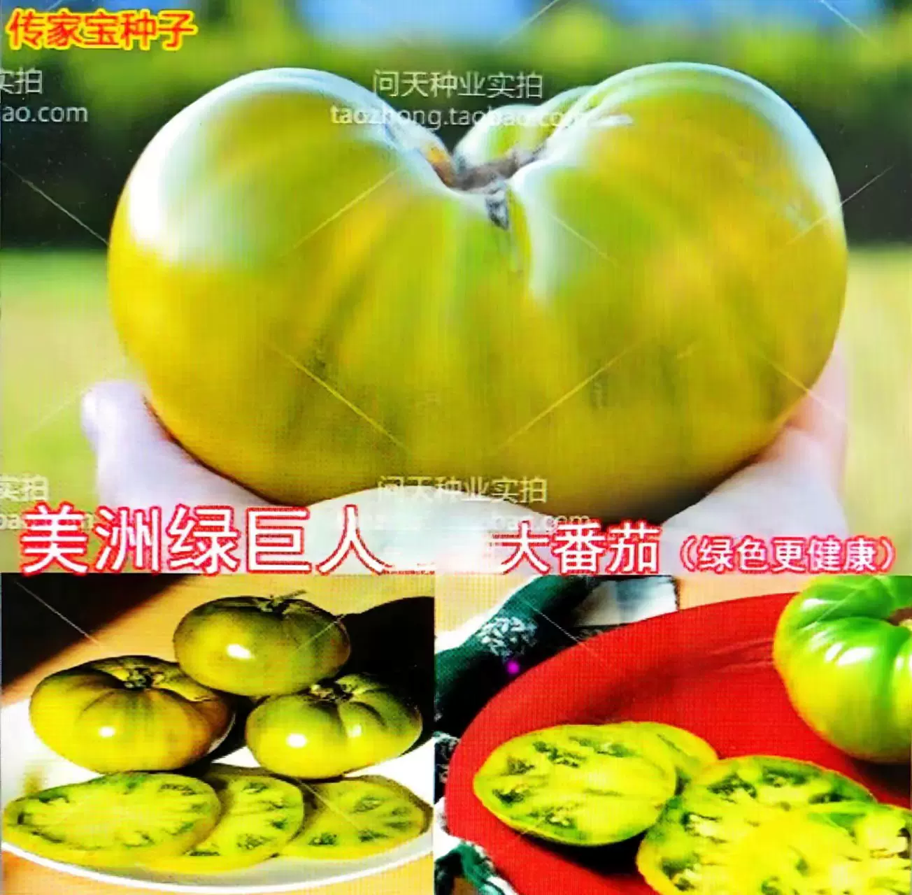 传家宝绿巨人型好吃大番茄西红柿圣女果春季四季蔬菜水果种子籽孑-Taobao