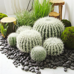 Nordic Artificial White Thorn Cactus Potted Plant Ornament Large Fake Green Plant Bonsai Decoration Tropical Desert Plant Landscaping