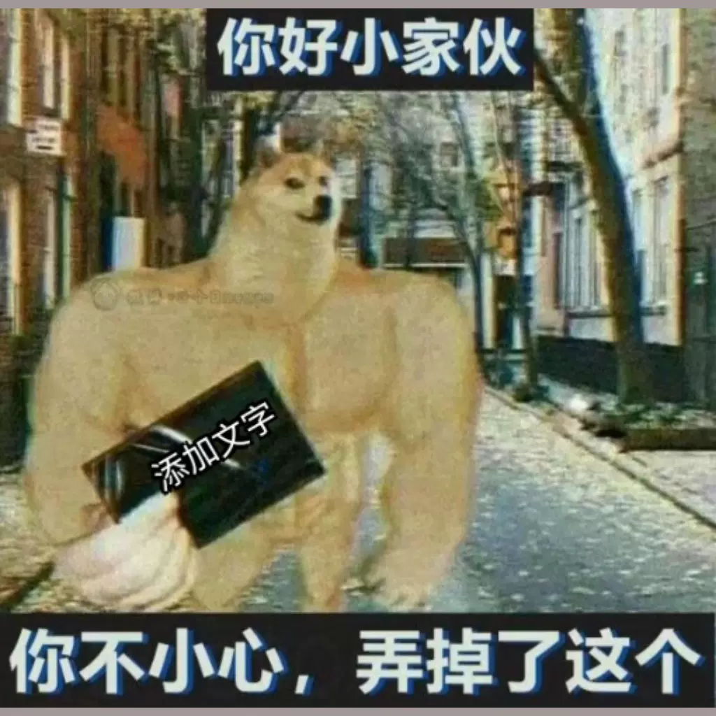 Doge模板