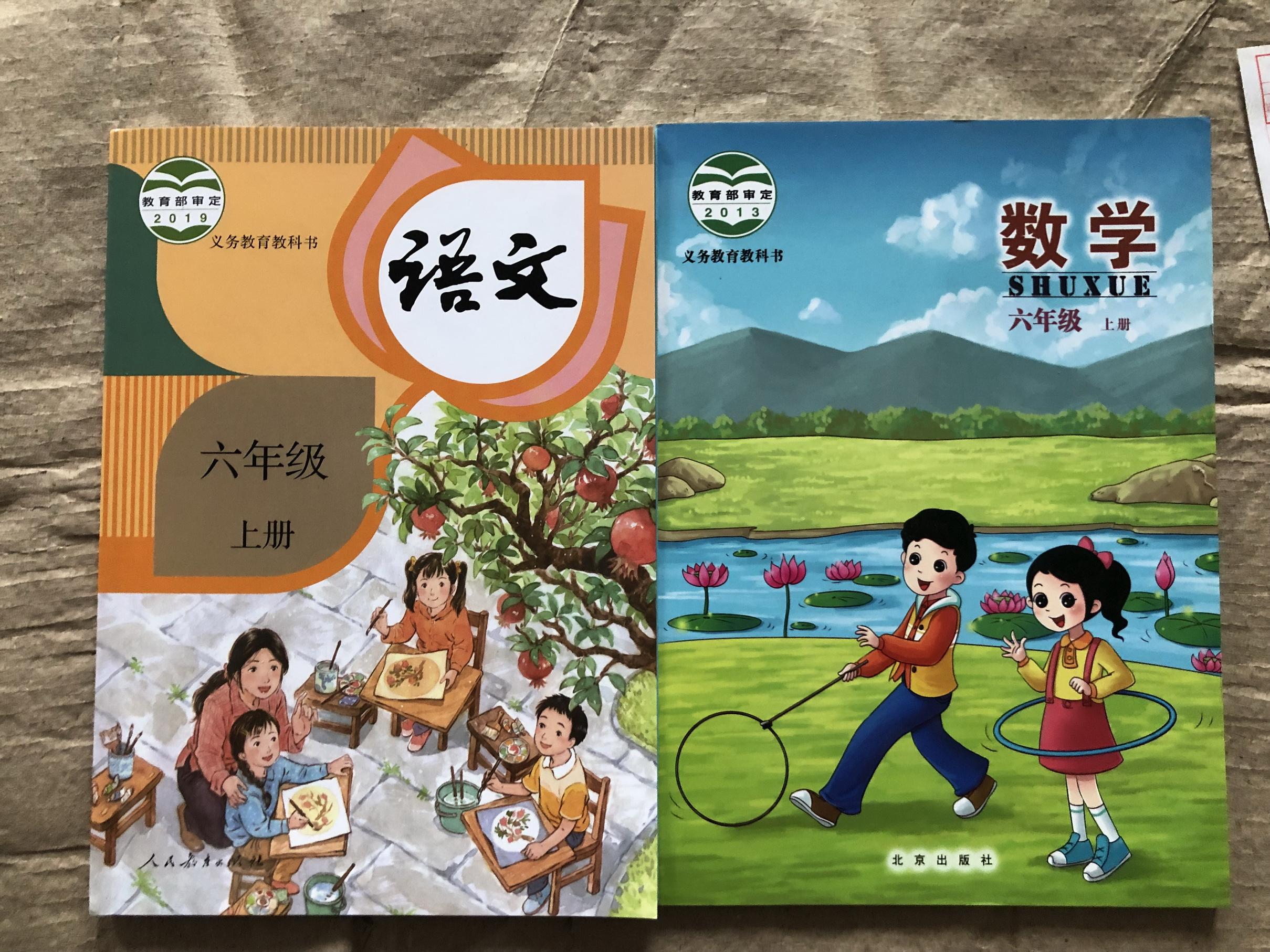 关于六年级教辅书推荐(小学毕业总复习一本通)的信息 关于六年级教辅书推荐(小学毕业总复习一本通)的信息