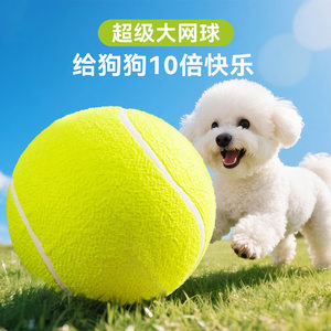 
New tennis toy, safe and bite-resistant, companion dog and cat training self-entertainment and boredom relief pet bouncy ball