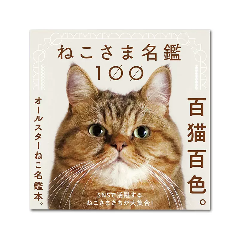 猫咪大人名鉴100 ねこさま名鑑100 宠物猫猫摄影写真全明星猫名鉴本100只可爱猫猫写真集治愈系猫咪收录 Taobao 猫咪大人名鉴100 ねこさま名鑑100 宠物猫猫摄影写真全明星猫名鉴本100只可爱猫猫写真集治愈系猫咪收录 Taobao